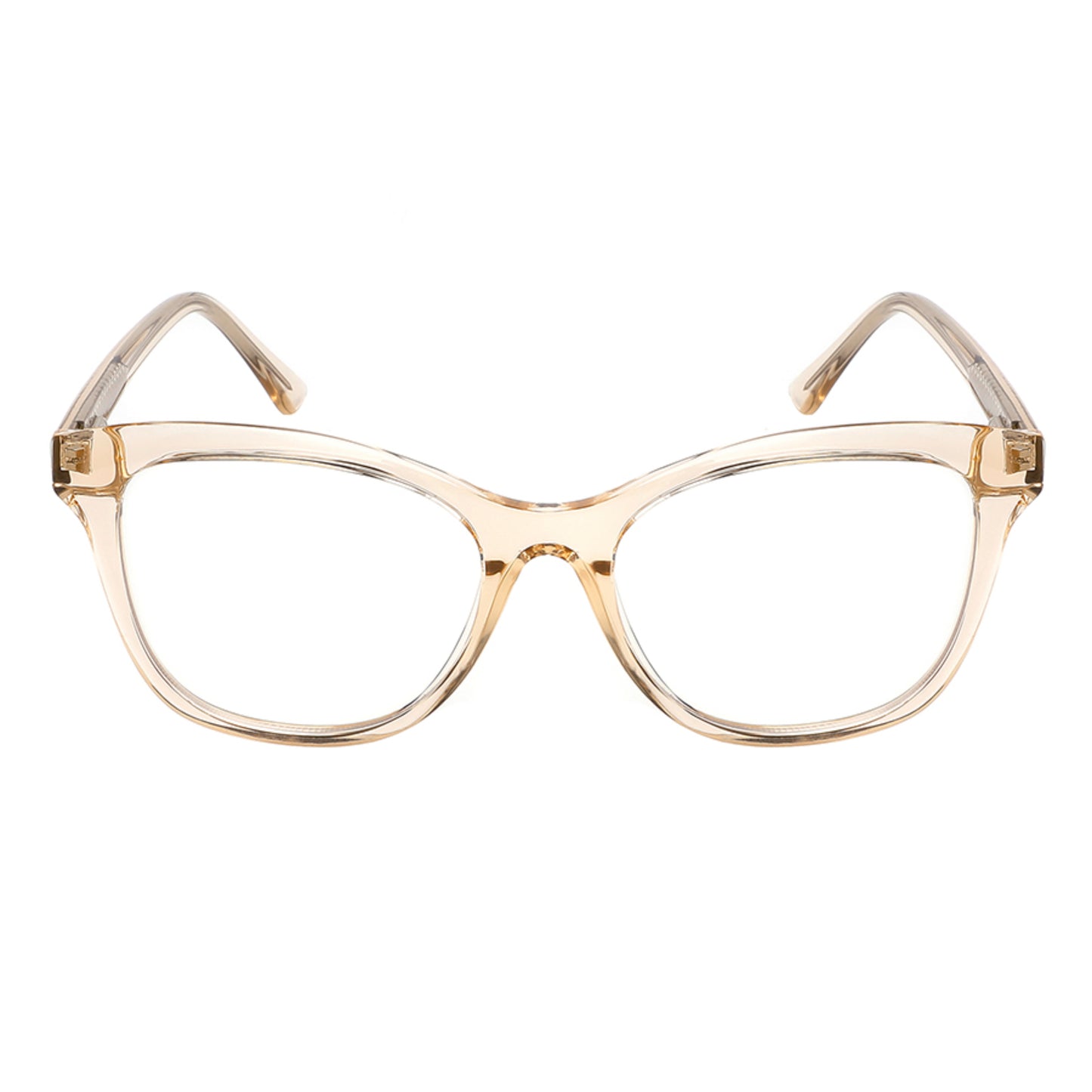 AURORA 2019 Clear Brown