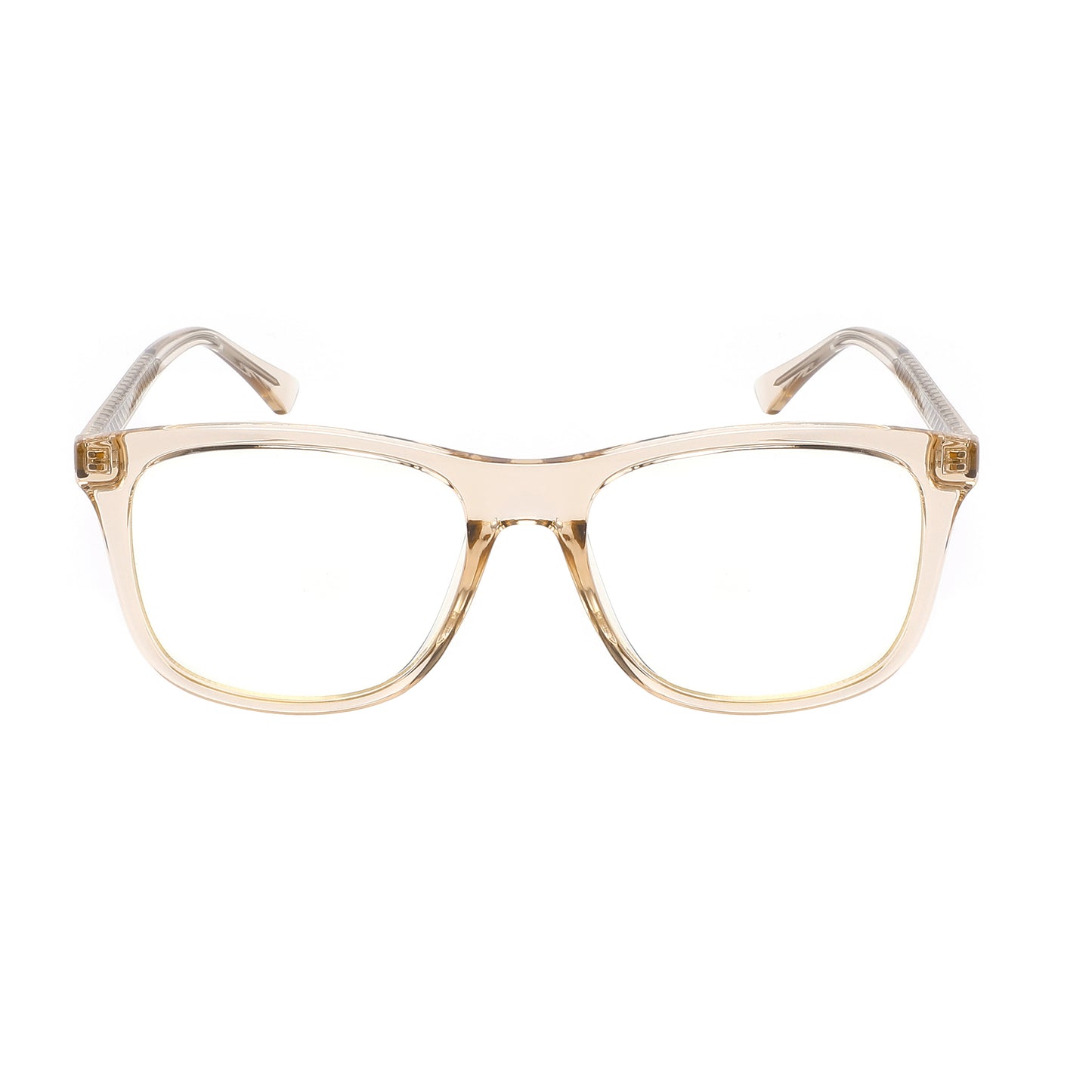 BOREALIS 2022 Clear Brown