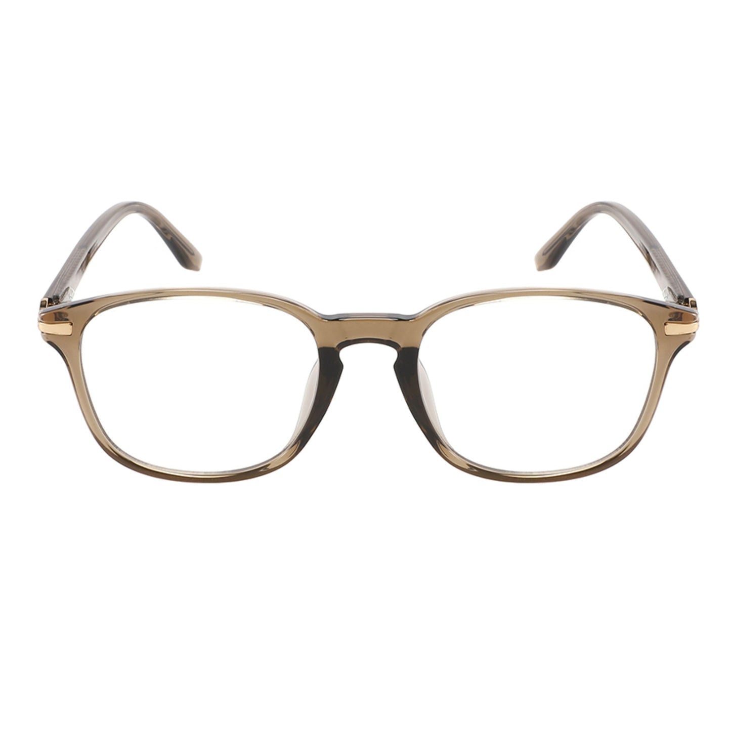 BOREALIS 2047 Clear Brown