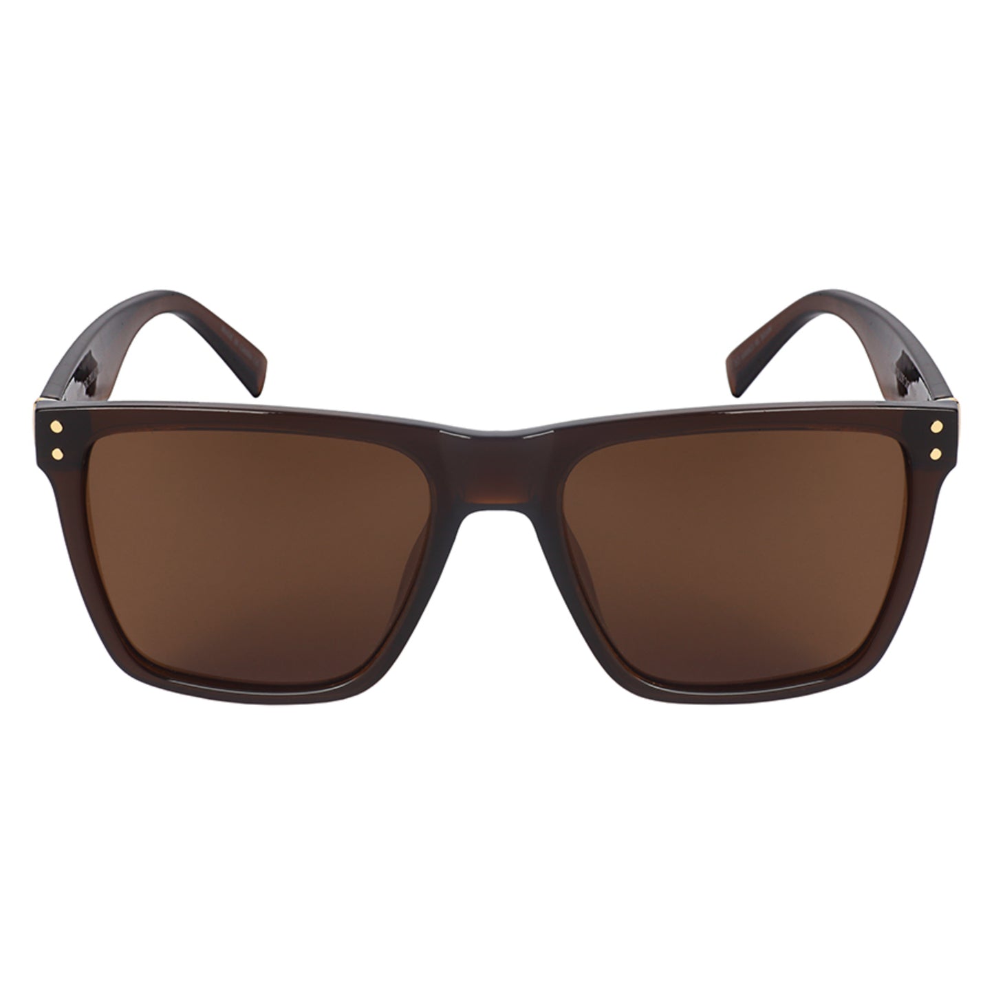 RAVI 541076 Polarized