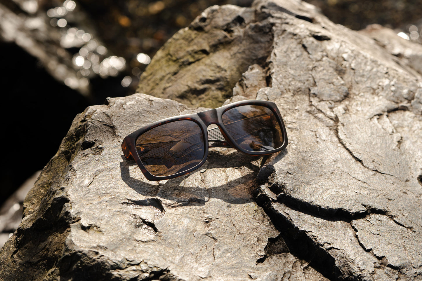 GRAND BAMBOO 2 Brown Polarized